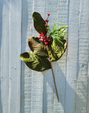 24" Silk Magnolia Leaf and Berry Stem