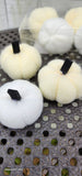 White and Cream Pumpkins