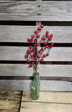 Red Water Resistant Berry Stem