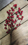 Red Water Resistant Berry Stem