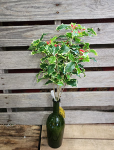 19" Faux Varigated Holly Bush