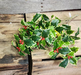 19" Faux Varigated Holly Bush