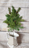 PVC Juniper With Tiny Pine Cones Stem