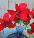 19" Red Velvet Poinsettia Bush x6 Heads