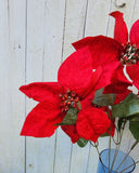 19" Red Velvet Poinsettia Bush x6 Heads