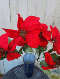 19" Red Velvet Poinsettia Bush x6 Heads