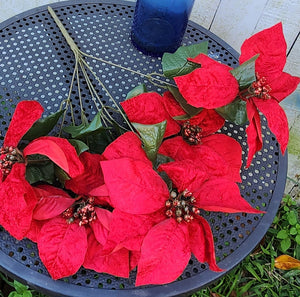 19" Red Velvet Poinsettia Bush x6 Heads