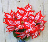 23" Candy Apple Poinsettia Bush x7 Heads