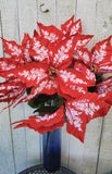 23" Candy Apple Poinsettia Bush x7 Heads