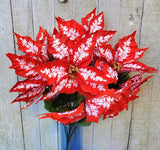 23" Candy Apple Poinsettia Bush x7 Heads