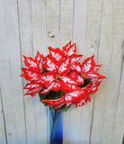 23" Candy Apple Poinsettia Bush x7 Heads