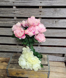 20" Silk Cream or Pink Peony Bush x 7