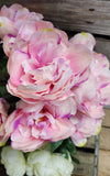 20" Silk Cream or Pink Peony Bush x 7