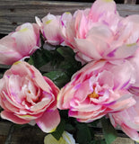 20" Silk Cream or Pink Peony Bush x 7