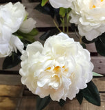 Large Head Silk Peony Bush x 5 Heads