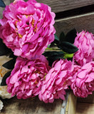 18" Large Peony Bush x 5