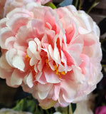 18" Large Peony Bush x 5