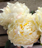 18" Large Peony Bush x 5