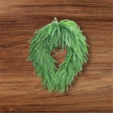 26" Oval Button Fern Wreath