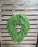 26" Oval Button Fern Wreath