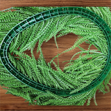 26" Oval Button Fern Wreath