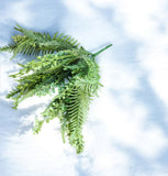 20" Plastic Mixed Fern Bush x7