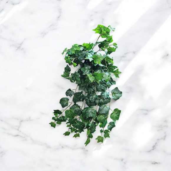 large hanging ivy plant 29" Large Ivy Hanging Bush x19 – Florist Wreath Supply