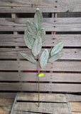 28" Iced Sage Magnolia Leaf Stem