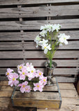 20" Silk Cosmo Bush
