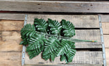 Silk Leatherleaf Fern Doz Stems- Silk Baker Fern