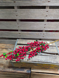 38" Red High Quality Berry Stem
