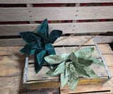 24" Velvet Wired Poinsettia Stem