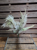 24" Flocked Fern Bush