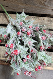 18" Frosted Holly Bush