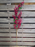 38" Red High Quality Berry Stem
