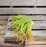 16" Fall Plastic Beaded Grass Bush