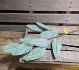 28" Iced Sage Magnolia Leaf Stem