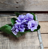 8" UV Protected African Violet Bush