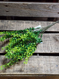 17" Poly Myrtle Bush x 5 Stems