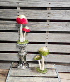 Mushroom Sitter