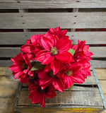 18" Burgundy Dahlia Bush