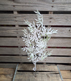 23" Flocked Greenery Stem