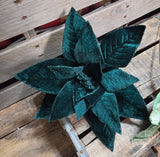 24" Velvet Wired Poinsettia Stem