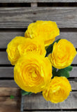 Large Silk Yellow Rannuculus