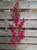 38" Red High Quality Berry Stem