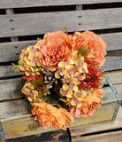 Orange/Bronze Peony Hydrangea Bush