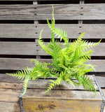 24" Platic Light Green Fern Bush x7