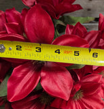 18" Burgundy Dahlia Bush