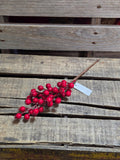 12" Red Berry Stem
