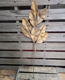 29" Gold Magnolia Stem